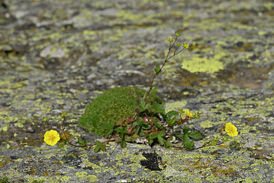 BUITEN BEELD Foto: 448035