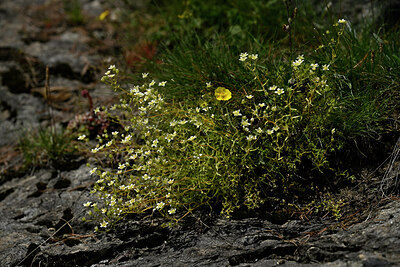 BUITEN BEELD Foto: 448036