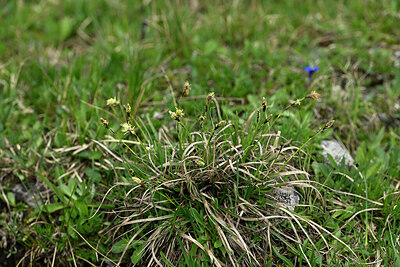 BUITEN BEELD Foto: 448043