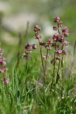 BUITEN BEELD Foto: 448054
