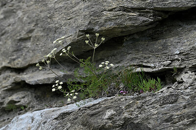 BUITEN BEELD Foto: 448062