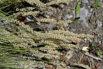 BUITEN BEELD Foto: 448064