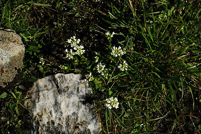 BUITEN BEELD Foto: 448072