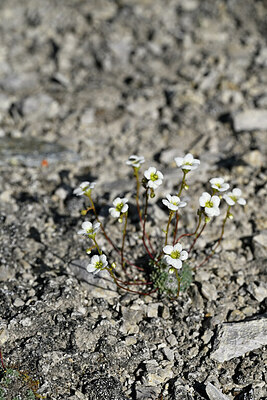 BUITEN BEELD Foto: 448075
