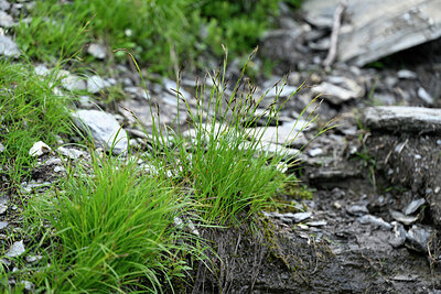 BUITEN BEELD Foto: 448079