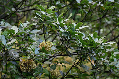 BUITEN BEELD Foto: 448080