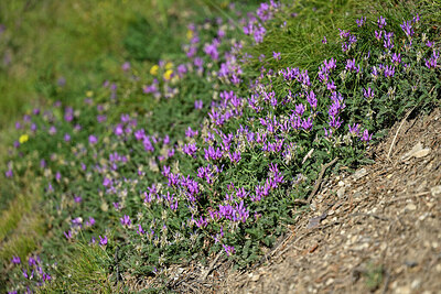 BUITEN BEELD Foto: 448081