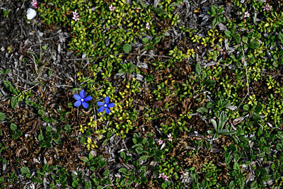BUITEN BEELD Foto: 448085