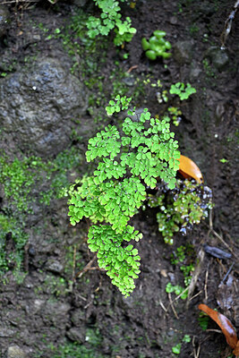 BUITEN BEELD Foto: 448087