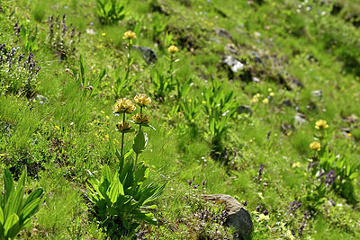 BUITEN BEELD Foto: 448104