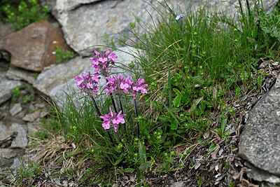 BUITEN BEELD Foto: 448105