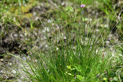 BUITEN BEELD Foto: 448121