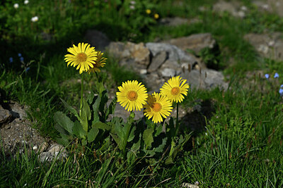 BUITEN BEELD Foto: 448123