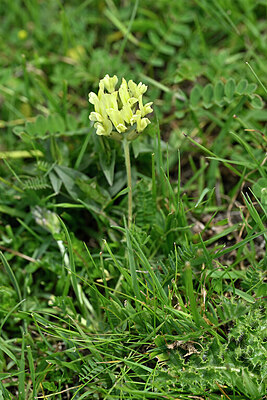 BUITEN BEELD Foto: 448125