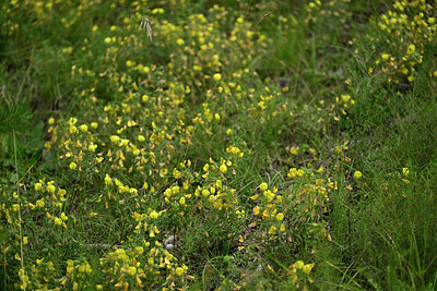 BUITEN BEELD Foto: 448129