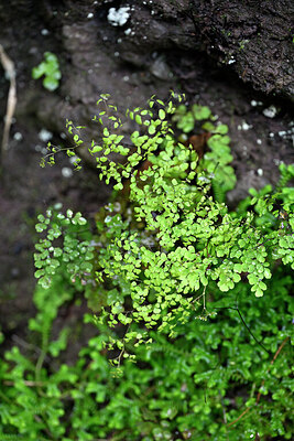 BUITEN BEELD Foto: 448130