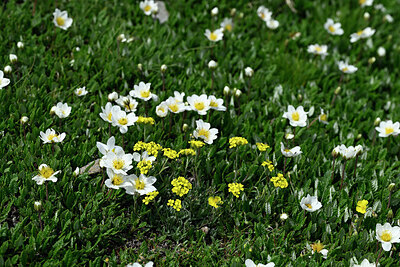 BUITEN BEELD Foto: 448131