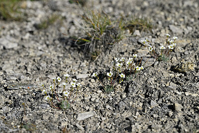 BUITEN BEELD Foto: 448158