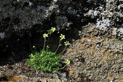 BUITEN BEELD Foto: 448160