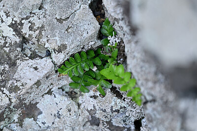 BUITEN BEELD Foto: 448163