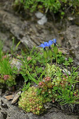 BUITEN BEELD Foto: 448165