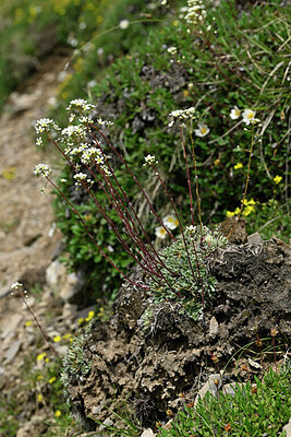 BUITEN BEELD Foto: 448170