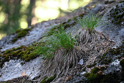 BUITEN BEELD Foto: 448171