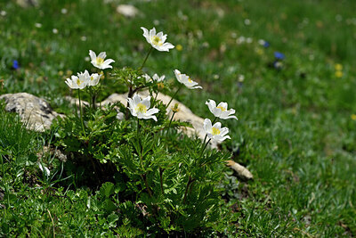 BUITEN BEELD Foto: 448177