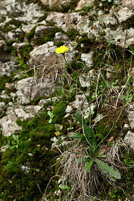 BUITEN BEELD Foto: 448196
