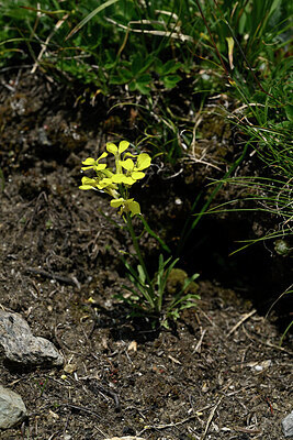 BUITEN BEELD Foto: 448202