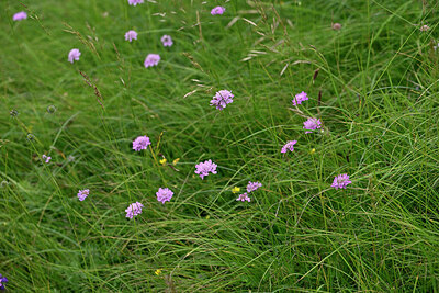 BUITEN BEELD Foto: 448206