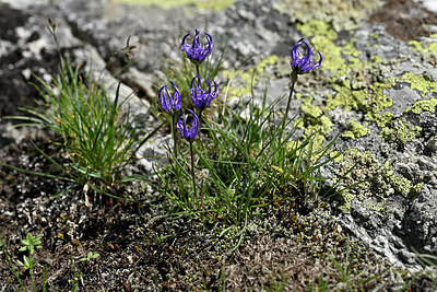BUITEN BEELD Foto: 448210