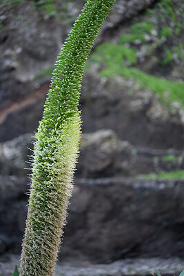 BUITEN BEELD Foto: 448246