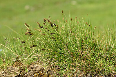 BUITEN BEELD Foto: 448254