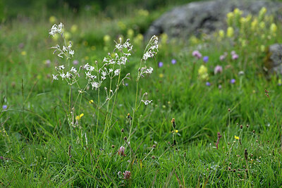 BUITEN BEELD Foto: 448256