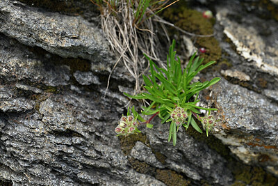 BUITEN BEELD Foto: 448273