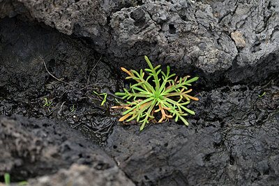 BUITEN BEELD Foto: 448285