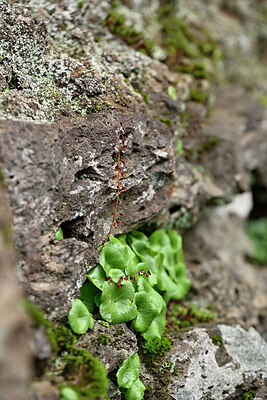 BUITEN BEELD Foto: 448291