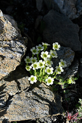 BUITEN BEELD Foto: 448295