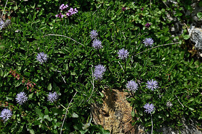 BUITEN BEELD Foto: 448296
