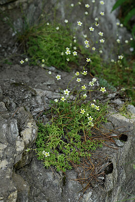 BUITEN BEELD Foto: 448305