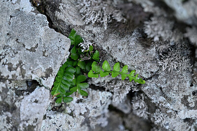 BUITEN BEELD Foto: 448319