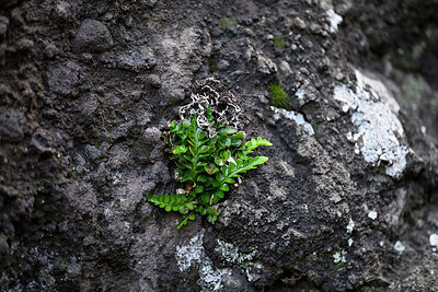 BUITEN BEELD Foto: 448320