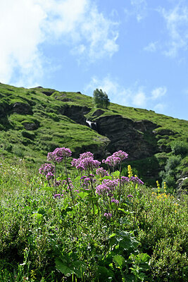 BUITEN BEELD Foto: 448325