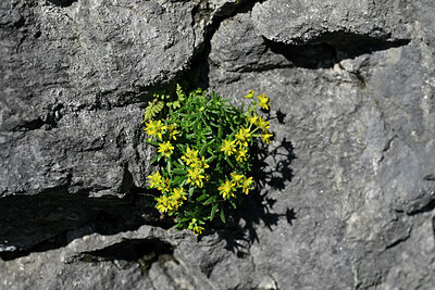 BUITEN BEELD Foto: 448326