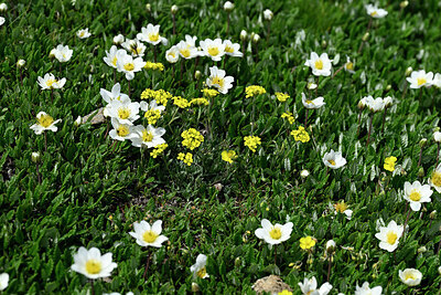 BUITEN BEELD Foto: 448343
