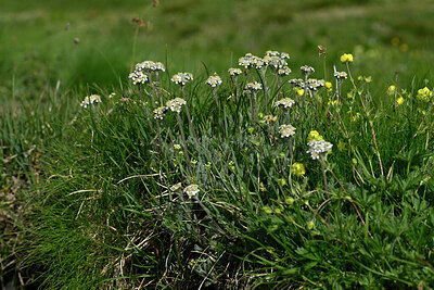 BUITEN BEELD Foto: 448351