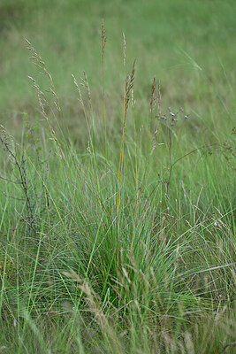 BUITEN BEELD Foto: 448367