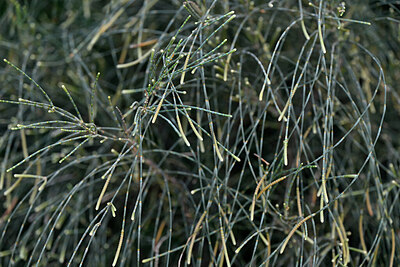 BUITEN BEELD Foto: 448375