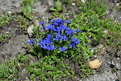 BUITEN BEELD Foto: 448378